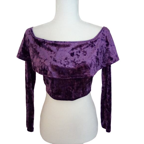 Charlotte Russe Long Sleeve Velour Crop Top - Picture 1 of 7